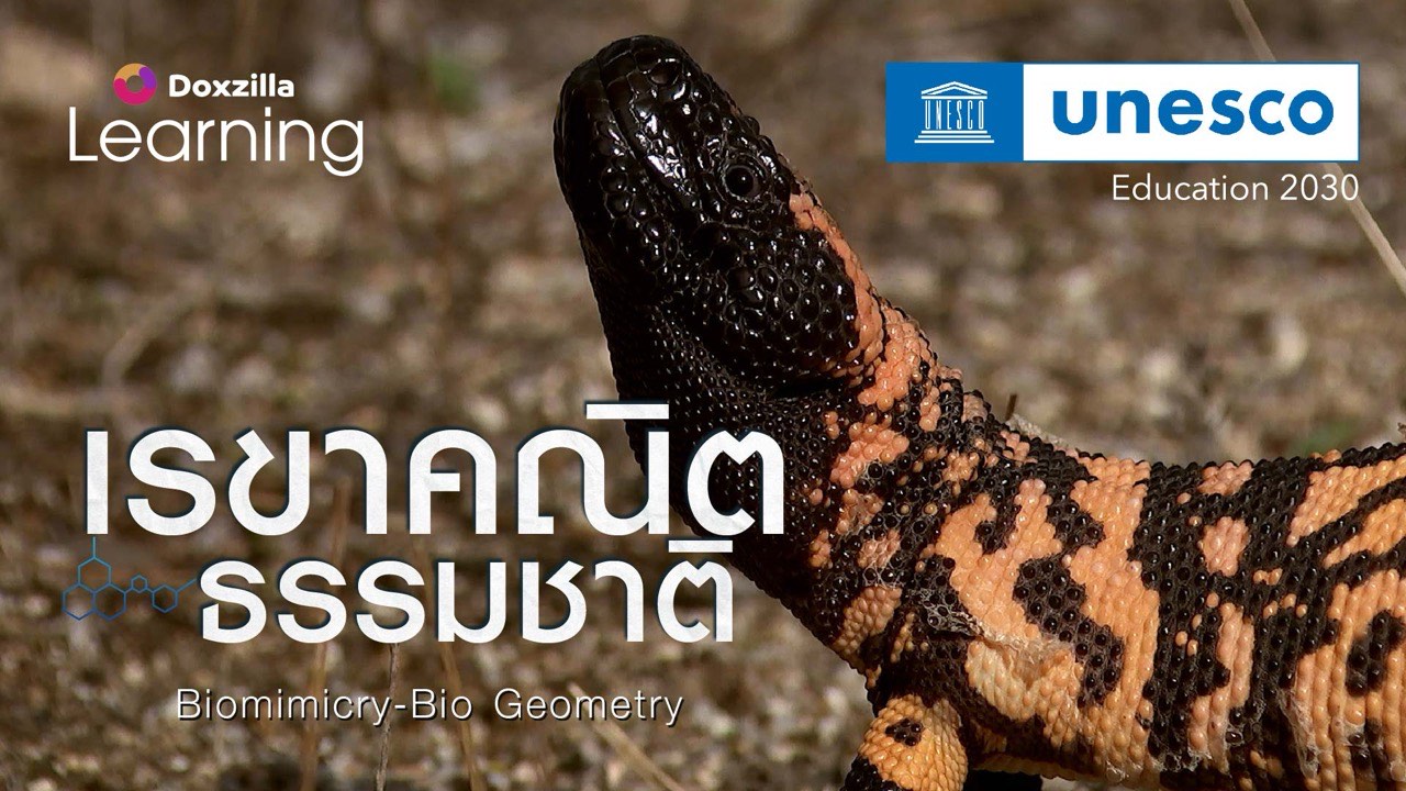 ภาพปกสารคดีเรื่อง Biomimicry – Bio Geometry